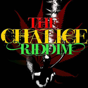 Screechy Dan: The Chalice Riddim