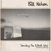 Another Willingly Opened Window by Bill Nelson