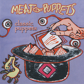 Foreign Lawns by Meat Puppets