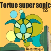 tss tortue super sonic