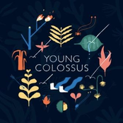 Young Colossus EP