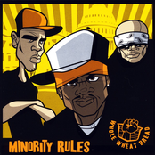 Minority Rules