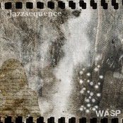 Wasp