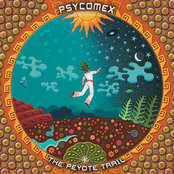 Psycomex-The Peyote Trail
