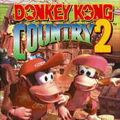 Donkey Kong Country 2