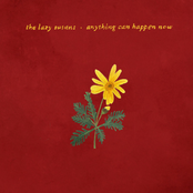 Anything Can Happen Now