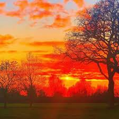 Looking at the Sunset