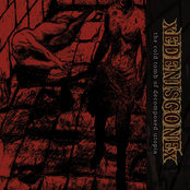 The Cold Tomb Of Decomposed Utopia (Remix)