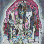 Light of the Late Night