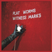 Flat Worms: Witness Marks