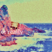 Not Really