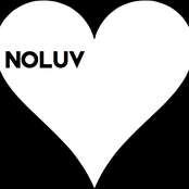 noluv