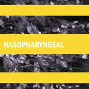 nasopharyngeal