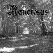 nemorosus