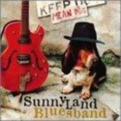 sunnyland blues band