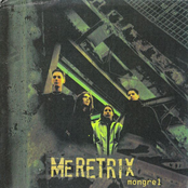 Meretrix