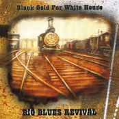 Black Gold For White House