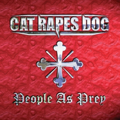 How The Country Falls by Cat Rapes Dog