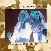 Emperor of Daffodils