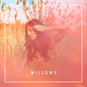 Willows: Willows