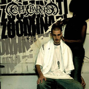 Zoominati: The Counter Movement