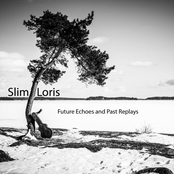 Future Echoes and Past Replays