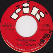Jungle Fever / Shotgun