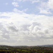 Beyond the Living Sickness