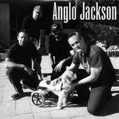 anglo jackson