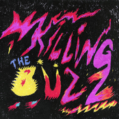 Killing The Buzz