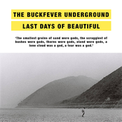 Last Days Of Beautiful