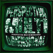 Perspectiva Multidimensional