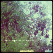 Tamang Panahon - Single