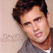 David Burnham: David Burnham