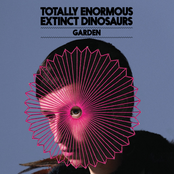 Teed: Garden (Calibre Remix)