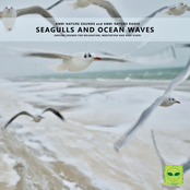 Seagulls and Ocean Waves (Nature Sounds for Relaxation, Meditation and Deep Sleep)