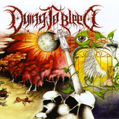 The Decaying Process