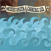 The Essex Green: Cannibal Sea