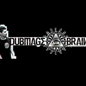 dubmage brain