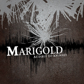 Moving In Tangents by Marigold