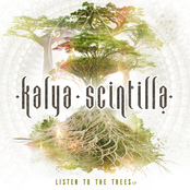 Kalya Scintilla: Listen to the Trees