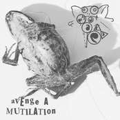 Avenge A Mutilation