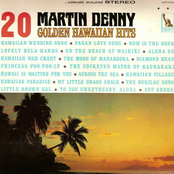 The Hawaiian Wedding Song by Martin Denny