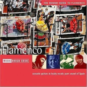 The Rough Guide to Flamenco
