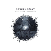 I Saw You Blink by Stornoway