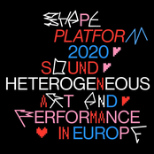 SHAPE:  Sound, Heterogeneous Art and Performance in Europe 2020