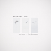 Echoes in Landscapes