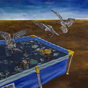 Fantasías de Violencia