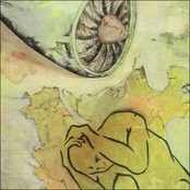 S/T