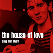 Kinda Love by The House Of Love